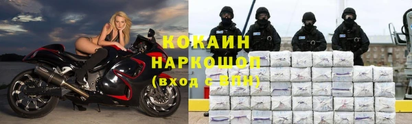 дживик Дмитровск