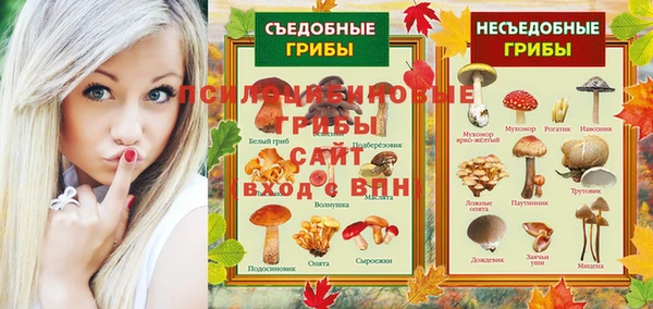 дживик Дмитровск