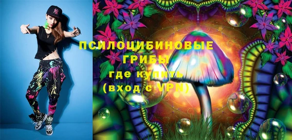 дживик Дмитровск