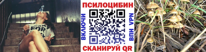 Купить  Рассказово  Псилоцибиновые грибы Magic Shrooms 