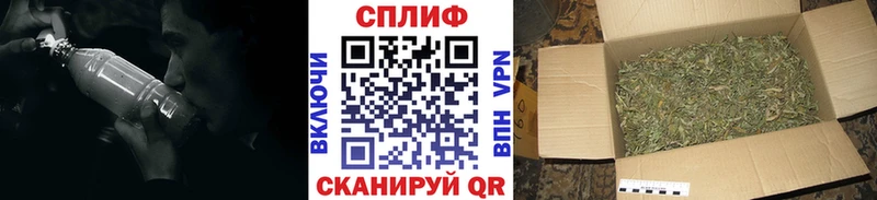 Купить закладки  Рассказово  Каннабис сатива 